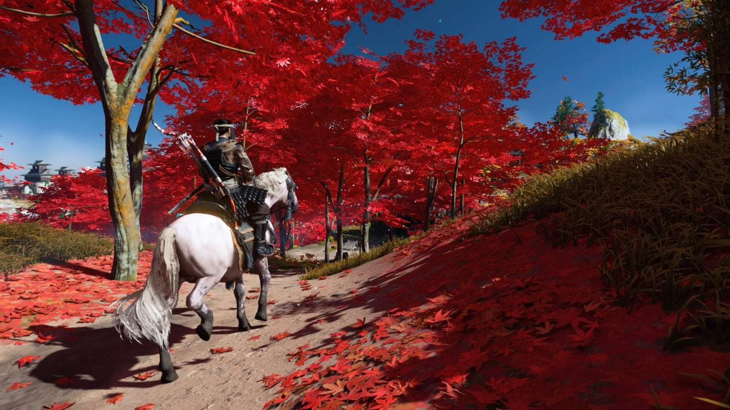 Ghost of Tsushima: Directors Cut - PC RPG Video Game Steam