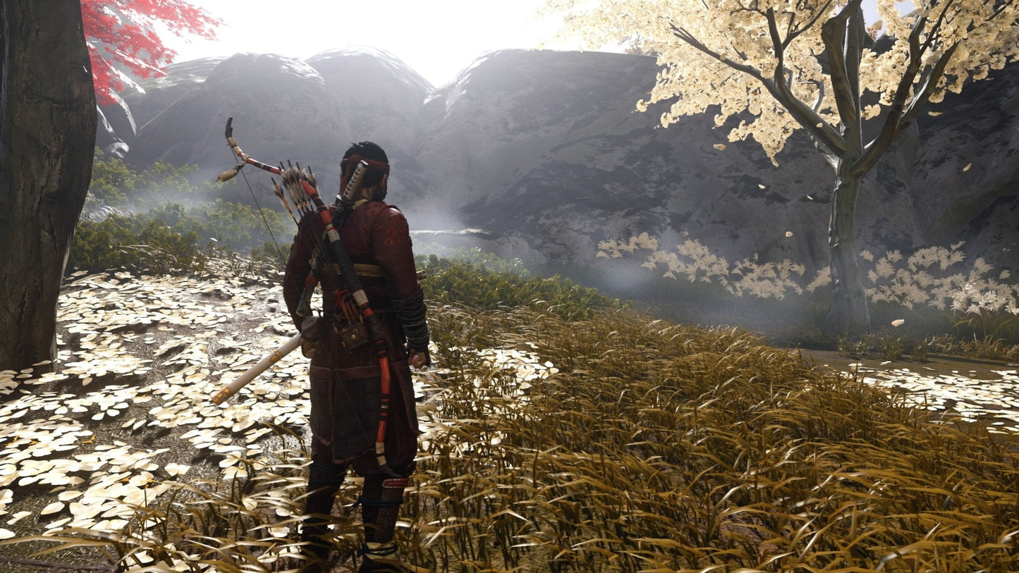 Ghost of Tsushima: Directors Cut - PC RPG Video Game Steam