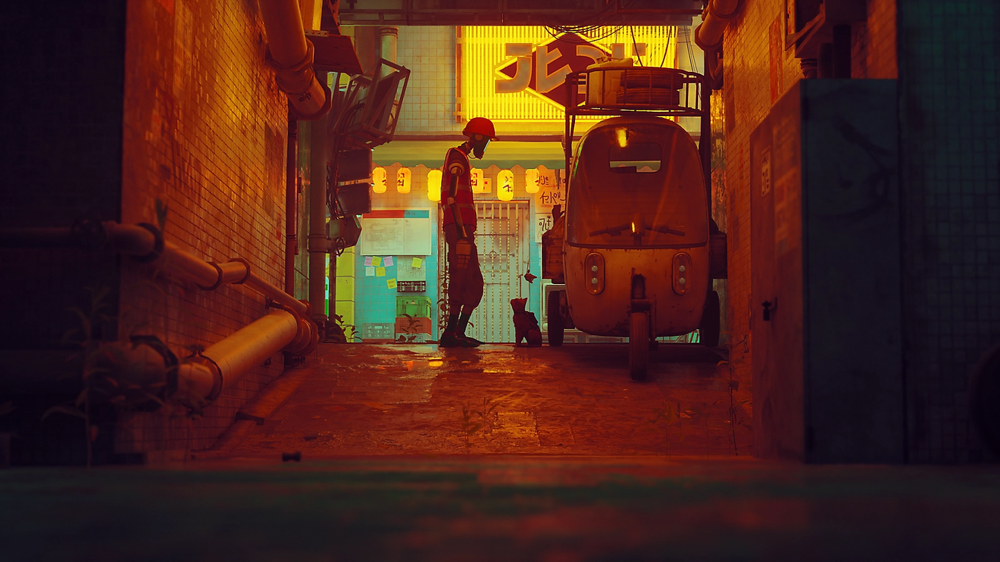 Stray - PC Adventure Video Game Steam