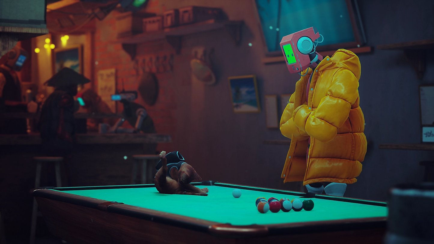 Stray - PC Adventure Video Game Steam