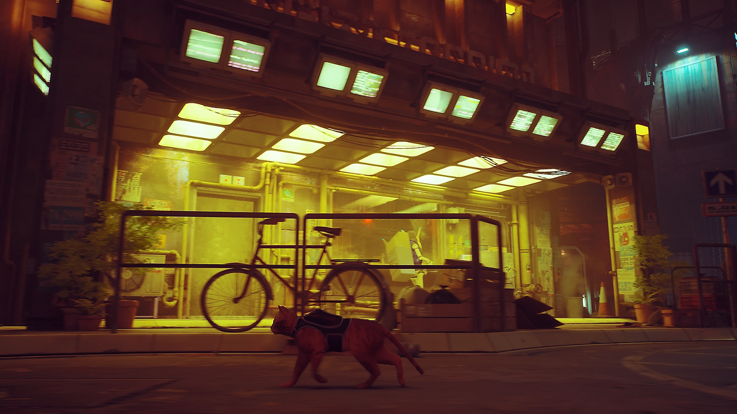 Stray - PC Adventure Video Game Steam