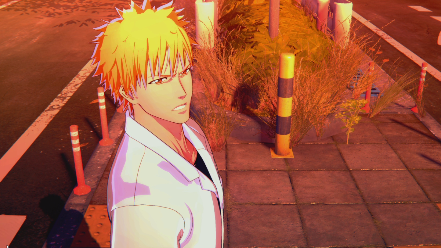 BLEACH Rebirth of Souls - PC