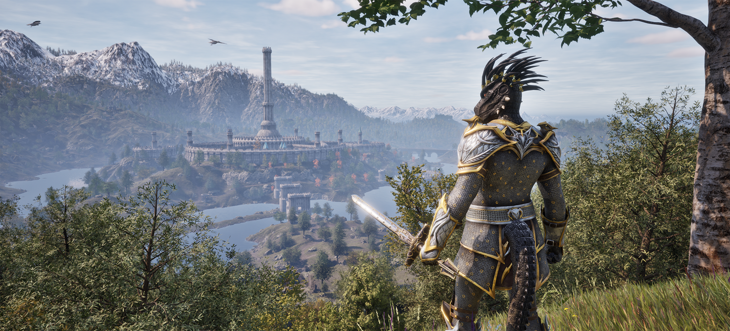 The Elder Scrolls IV: Oblivion Remastered - PC
