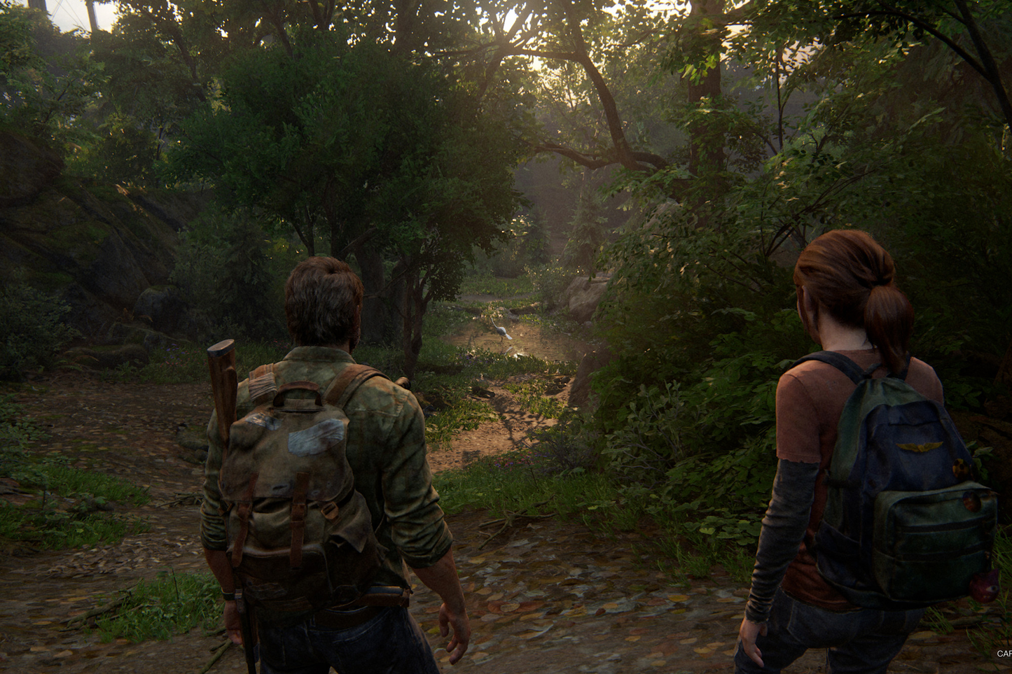 The Last of Us Part I - PC